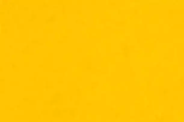 Welcome to Home Painting services